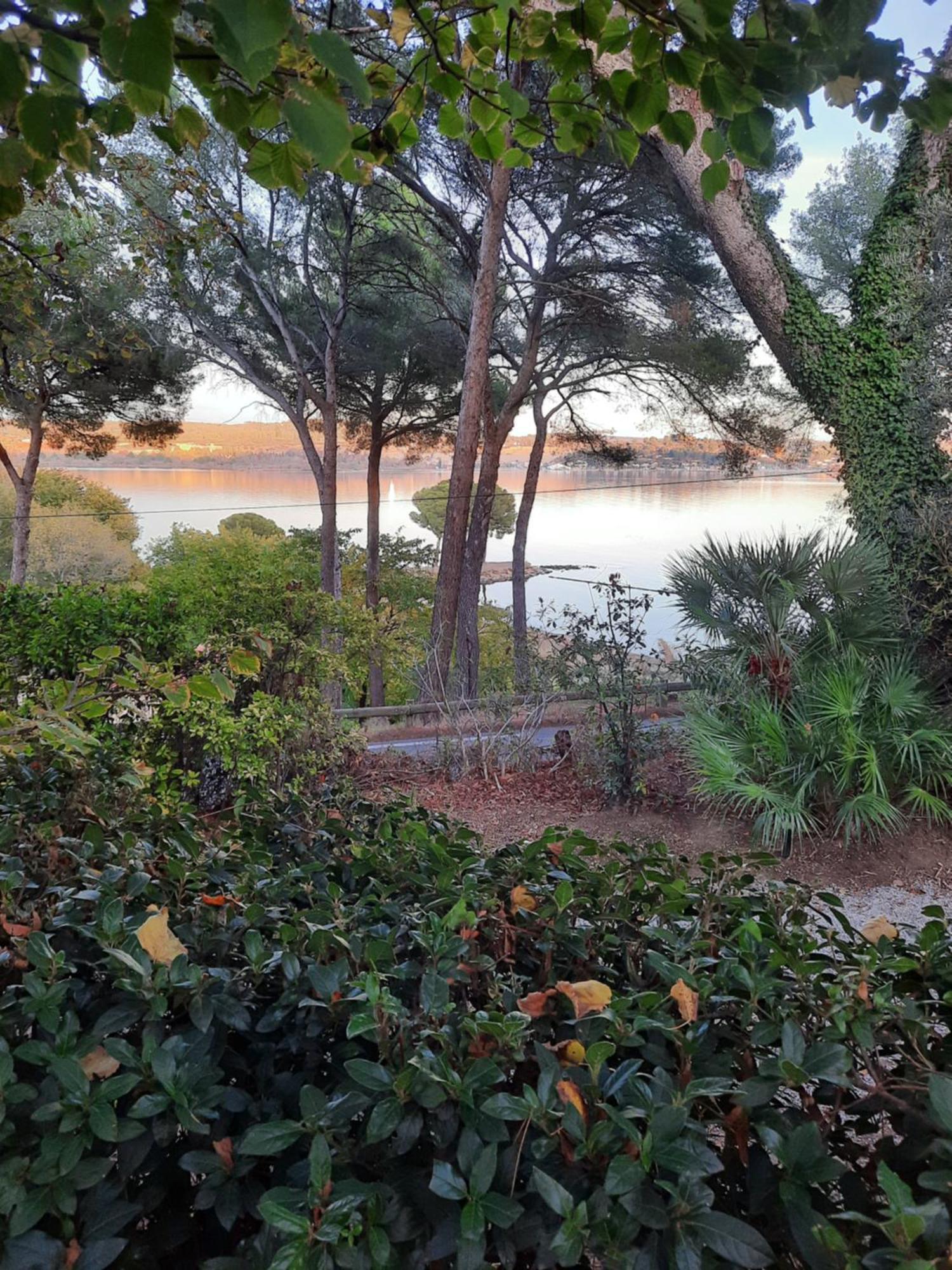 איסטרס La Palmeraie מראה חיצוני תמונה